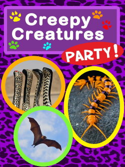 Creepy Creatures Party (2016) Creepy Creatures Party (2016)