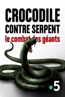 Crocodile contre serpent Le combat des géants (2016) Crocodile contre serpent Le combat des géants (2016)
