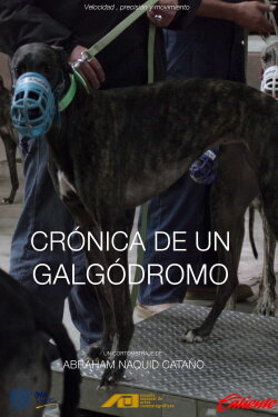 Crónica de un galgódromo (2020) Crónica de un galgódromo (2020)