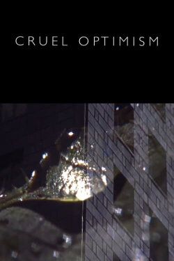 Cruel Optimism (2017)