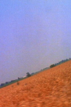 Crummy Little Life (1985) Crummy Little Life (1985)