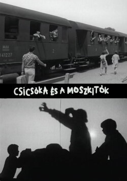 Csicsóka és a Moszkitók (1988) Csicsóka és a Moszkitók (1988)