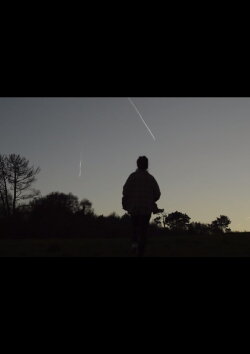 Cuando miro por la ventana veo el bosque (2019) Cuando miro por la ventana veo el bosque (2019)