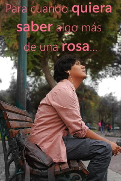 Cuando quiera saber algo más de una rosa (2023) Cuando quiera saber algo más de una rosa (2023)