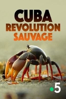 Cuba, révolution sauvage (2019) Cuba, révolution sauvage (2019)