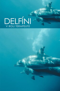 Curaçao, des dauphins thérapeutes (2022) Curaçao, des dauphins thérapeutes (2022)