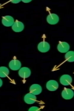 Curious About Existence (2003)