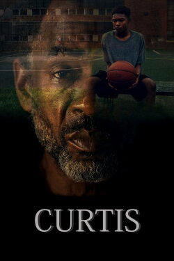 Curtis (2020) Curtis (2020)