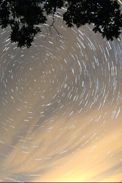 Curve the Night Sky (2022) Curve the Night Sky (2022)