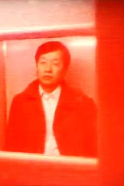 Cut violently (1984)