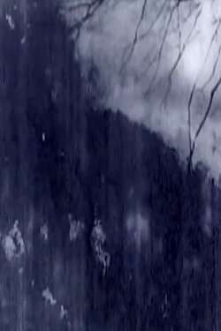 Δ -32 VANISHING 1981 (2019)