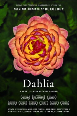 Dahlia (2008)
