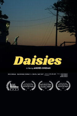 Daisies (2023)