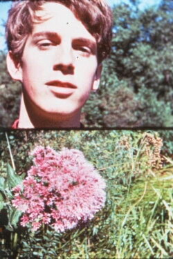 Dan Potter (1968)