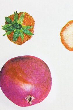 Dancing Fruit (2023)