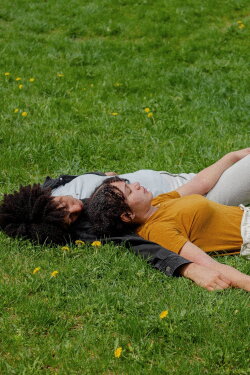 Dandelions (2023)