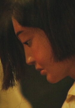 Dangerous Supplement (2005)