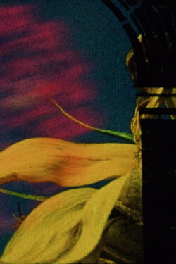 Dans les Cieux et Sur la Terre (2022)