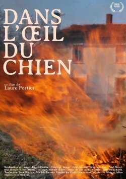Dans l'oeil du chien (2019) Dans l'oeil du chien (2019)