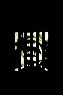 Dark (1974) Dark (1974)