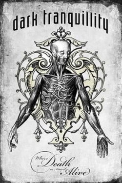Dark Tranquility - Where Death Is Most Alive (Live in Milan) (2009)