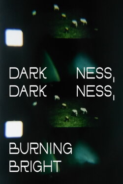 Darkness, Darkness, Burning Bright (2022)