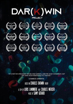 DAR(K)WIN Project (2019) DAR(K)WIN Project (2019)