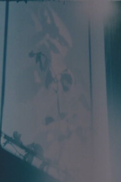 Darse Cuenta (2008)