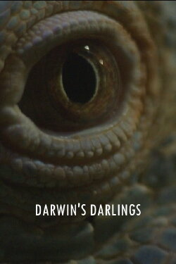 Darwin's Darlings (2025) Darwin's Darlings (2025)