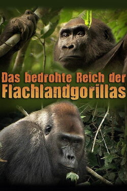 Das bedrohte Reich der Flachlandgorillas (2007)