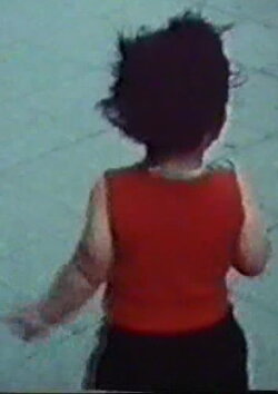 Das Leben des Sid Vicious (1981)