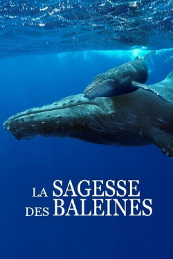 Das Wesen der Wale (2018)