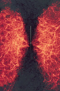 data-verse 1 (2019)