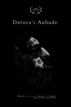 Datura's Aubade (2021)