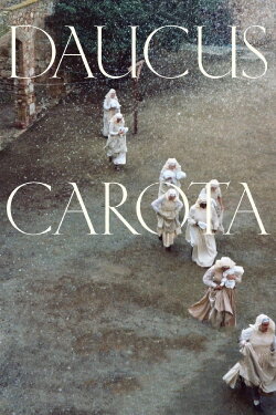 Daucus Carota (2020) Daucus Carota (2020)