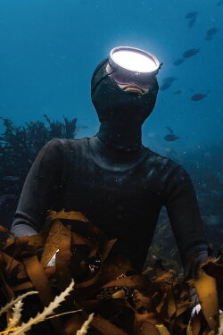 Daughter of the Sea (2023) Daughter of the Sea (2023)