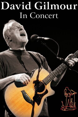 David Gilmour: In Concert (2002) David Gilmour: In Concert (2002)