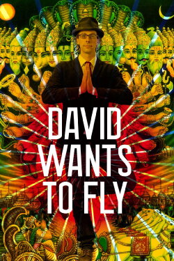 David Wants to Fly (2010) David Wants to Fly (2010)