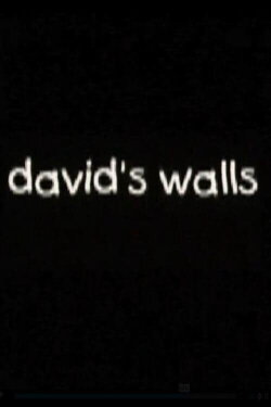 David's Walls (2001) David's Walls (2001)