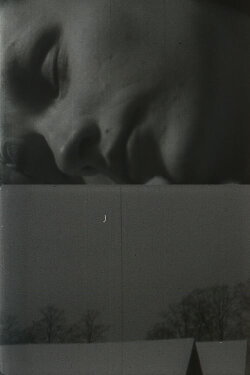 Daybreak and Whiteye (1957) Daybreak and Whiteye (1957)