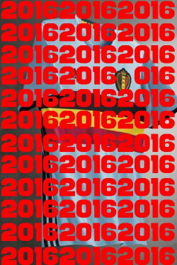 De Gemiste Kans, EK 2016 (2019) De Gemiste Kans, EK 2016 (2019)