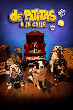 De patitas a la calle (2020) De patitas a la calle (2020)