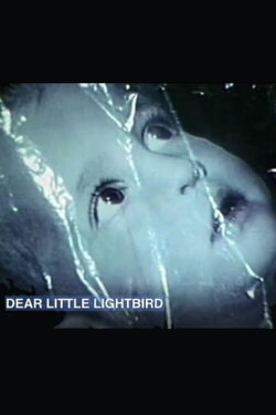 Dear Little Lightbird (1968)