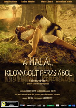 Death Rode out of Persia (2004) Death Rode out of Persia (2004)