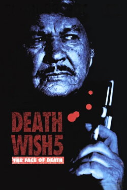 Death Wish V: The Face of Death (1994) Death Wish V: The Face of Death (1994)