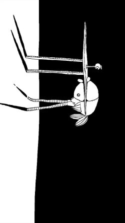 Decanimerone-1 (2019)