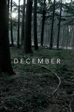 December (2010) December (2010)