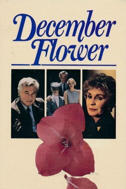 December Flower (1984) December Flower (1984)