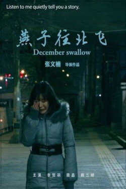 December Swallow (2019) December Swallow (2019)