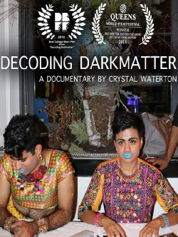 Decoding DarkMatter (2017)